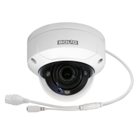 BOLID VCI-220-01 версия 2. Профессиональная видеокамера IP купольная. BOLID
