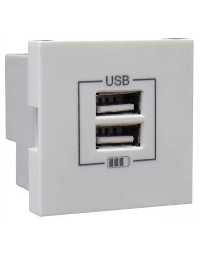 Розетка USB двойная, зарядная, белая (45439 SBR): Розетка USB двойная в Комсомольске-на-Амуре