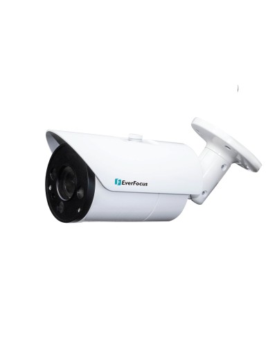 EZN-268V. Видеокамера IP купольная. EverFocus в Комсомольске-на-Амуре
