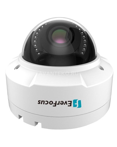 EHN-1250. Видеокамера IP купольная. EverFocus в Комсомольске-на-Амуре