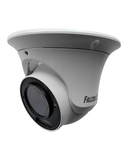 FE-IPC-DV2-40pa. Видеокамера IP купольная. Falcon EYE в Комсомольске-на-Амуре