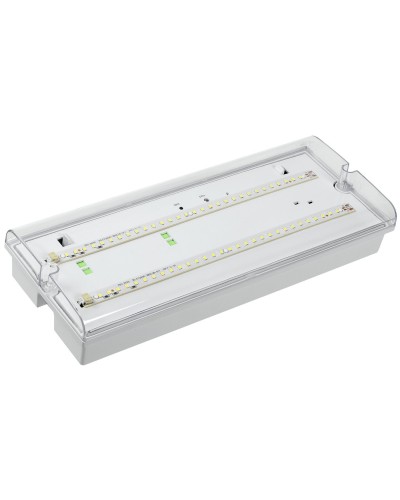 Светильник аварийный ДПА 5042-1 1ч IP65 LIGHTING (LDPA0-5042-1-65-K01). Светильник аварийный универсальный. IEK в Комсомольске-на-Амуре