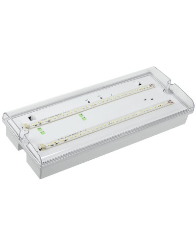 Светильник аварийный ДПА 5042-3 3ч IP65 LIGHTING (LDPA0-5042-3-65-K01). Светильник аварийный универсальный. IEK в Комсомольске-на-Амуре