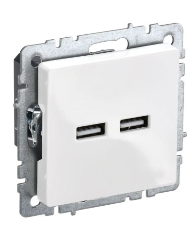 Розетка USB A+A 3,1А РЮ10-1-БрБ белый BRITE (BR-U21-D31-K01). Розетка USB. IEK в Комсомольске-на-Амуре