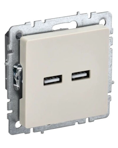 Розетка USB A+A 3,1А РЮ10-1-БрКр бежевый BRITE (BR-U21-D31-K10). Розетка USB. IEK в Комсомольске-на-Амуре