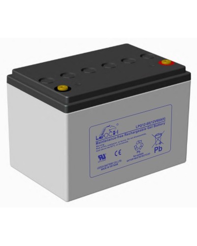 LEOCH LPG 12-60. Аккумулятор герметичный свинцово-кислотный. LEOCH в Комсомольске-на-Амуре