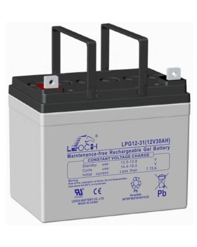 LEOCH LPG 12-31. Аккумулятор герметичный свинцово-кислотный. LEOCH в Комсомольске-на-Амуре