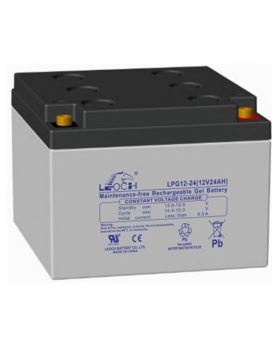 LEOCH LPG 12-24. Аккумулятор герметичный свинцово-кислотный. LEOCH в Комсомольске-на-Амуре