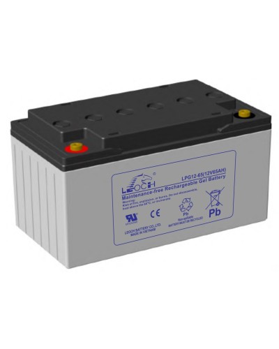 LEOCH LPG 12-65. Аккумулятор герметичный свинцово-кислотный. LEOCH в Комсомольске-на-Амуре