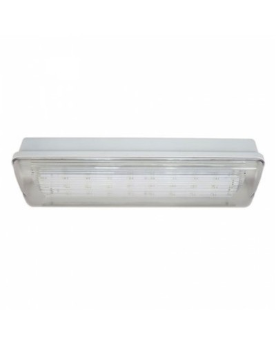 SL-213-30LED1.8 исп. 1 IP65. Светильник аварийного освещения. ИП Раченков А.В. в Комсомольске-на-Амуре